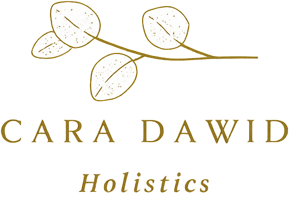 Cara Dawid Holistics logo